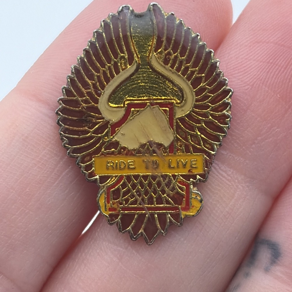Harley Davidson Motorcycles #1 Wings Ride To Live Bald Eagle Lapel Hat Pin